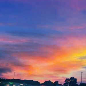 Meet your Posher, Lucy